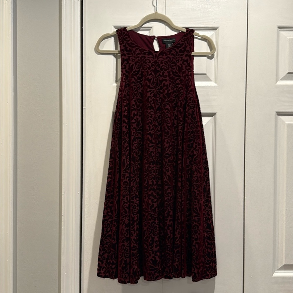 Deep Maroon Velvet Dress